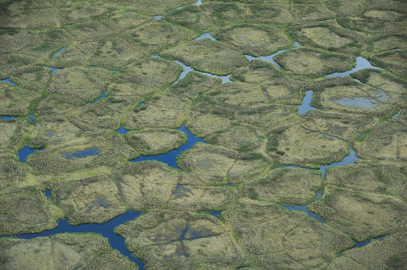 An aerial picture of polygonal ground on the North Slope of Alaska