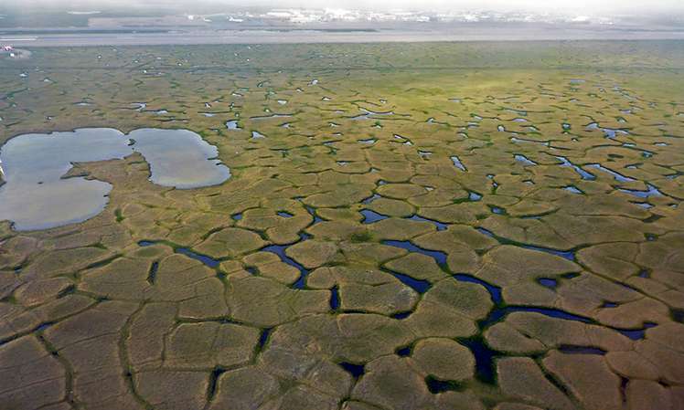 An aerial picture of high-centered ice-wedge polygons with thermokarst ponds between them.